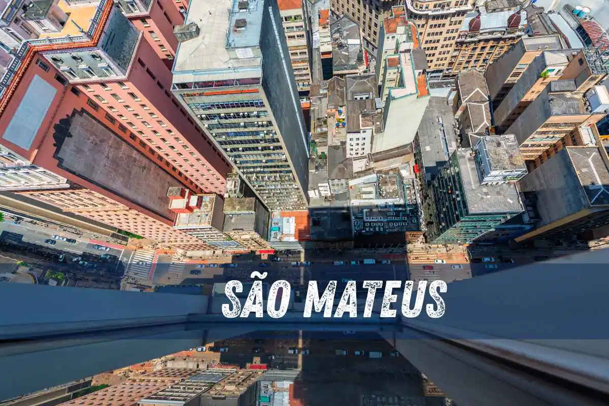 Dedetizadora em São Mateus 24 Horas