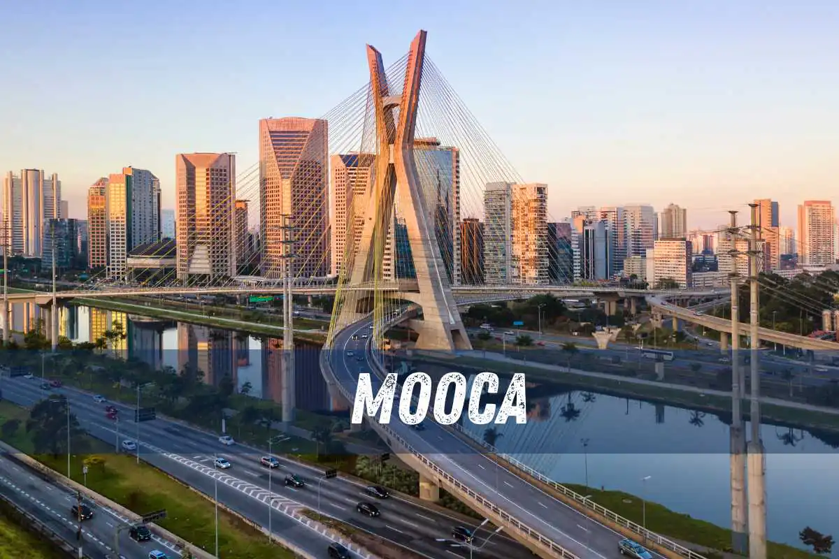 Dedetizadora na Mooca 24 horas